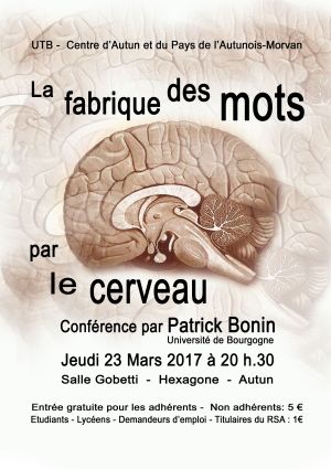 image : La Fabrique des mots par le cerveau